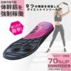 プランドゥ体幹筋エクササイズインソールツインボール