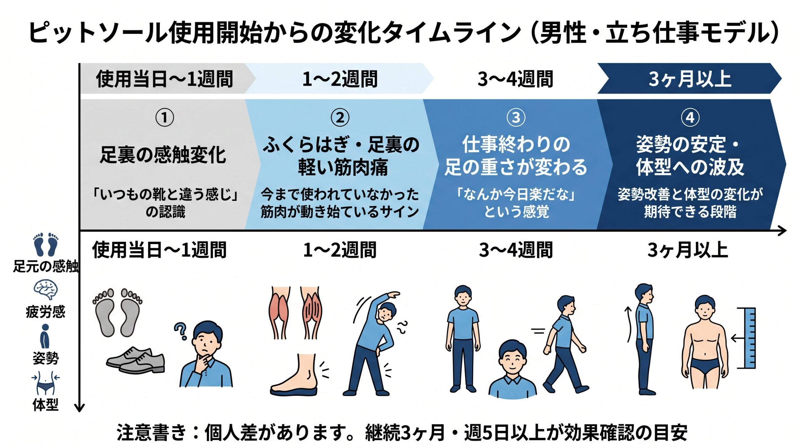 男性向けピットソール効果タイムライン図