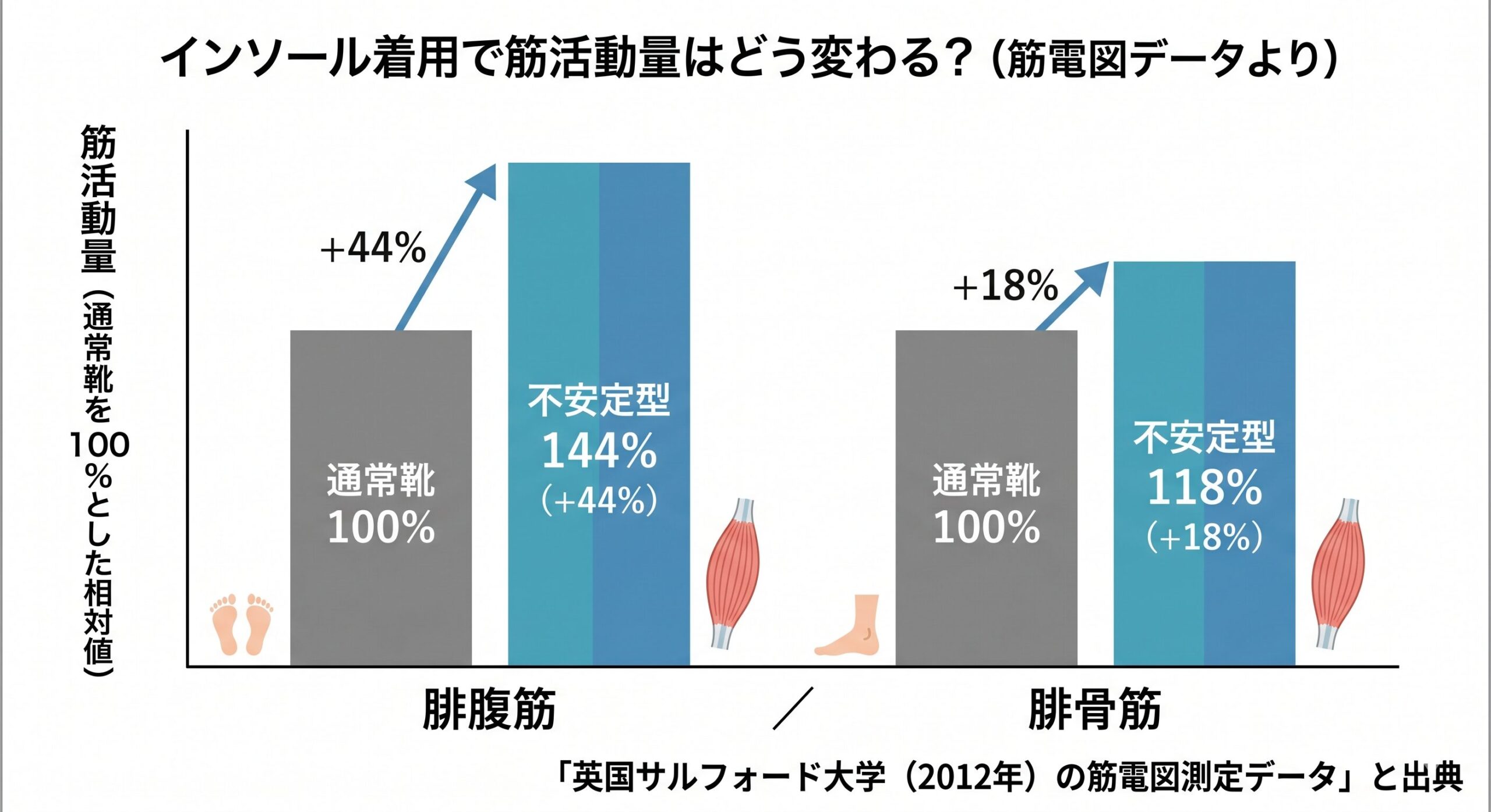 通常の靴 vs 不安定型インソール着用時の筋活動量比較